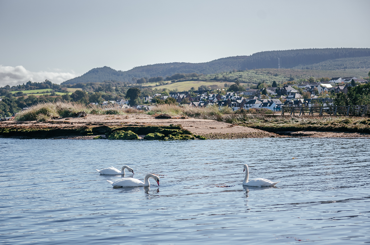 Exploring the Isle of Arran: Ferry, Castles, and Coastal Beauty photo 3