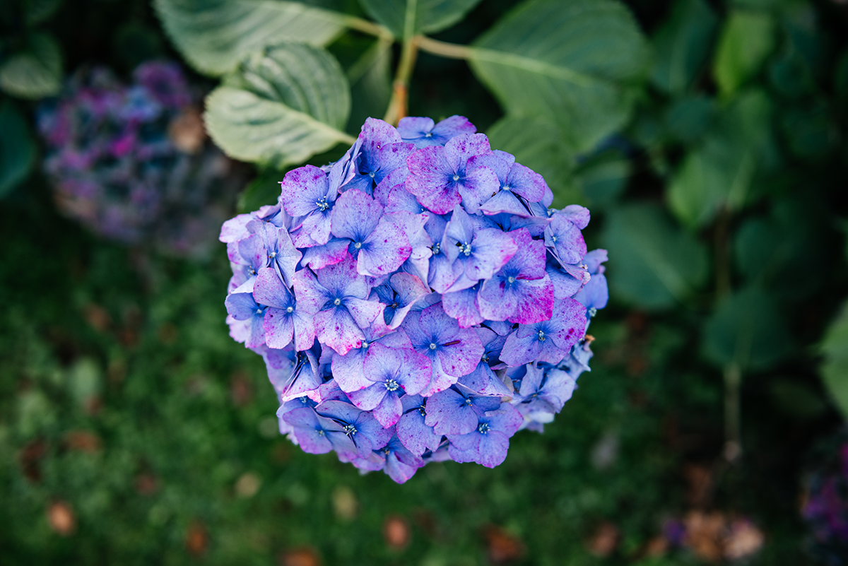 Exploring the Isle of Arran: Ferry, Castles, and Coastal Beauty photo 4