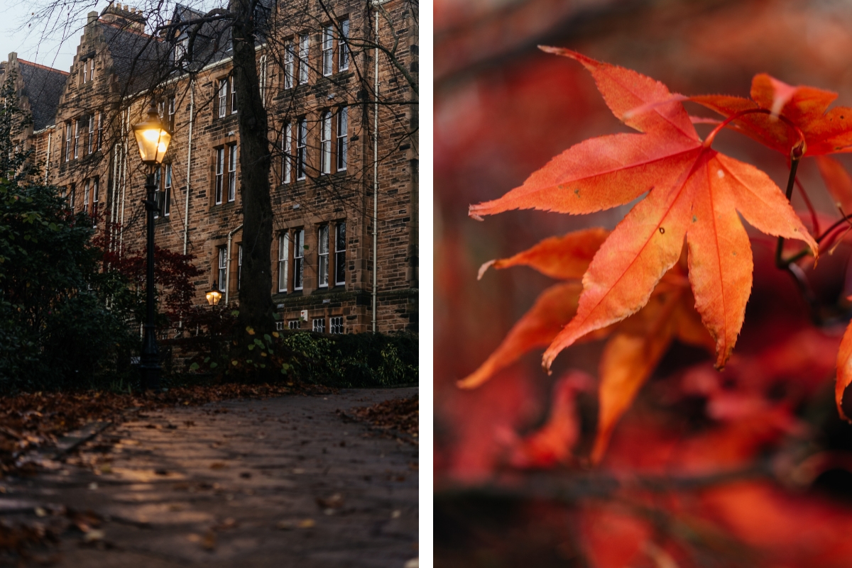 Glasgow in Autumn: Explore City, Riverside & Landmarks photo 2