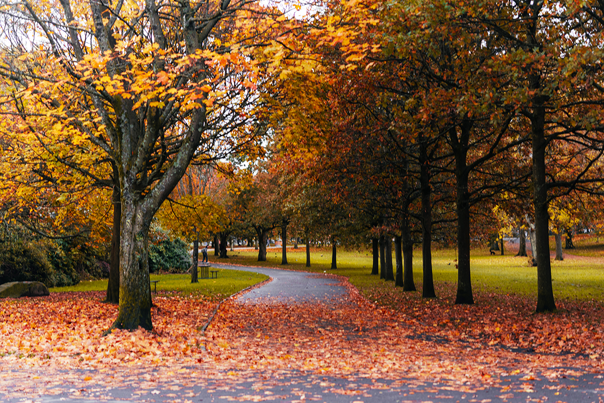 Glasgow in Autumn: Explore City, Riverside & Landmarks photo 1