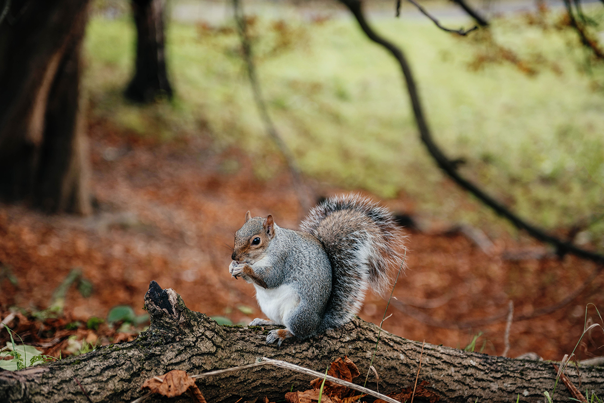 Glasgow in Autumn: Explore City, Riverside & Landmarks photo 3