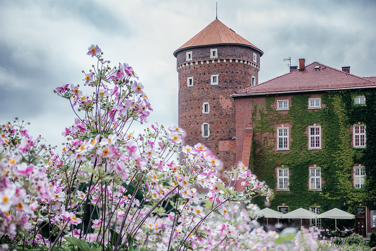 Kraków from Above & After Dark: A Photographer’s Summer Guide photo 1