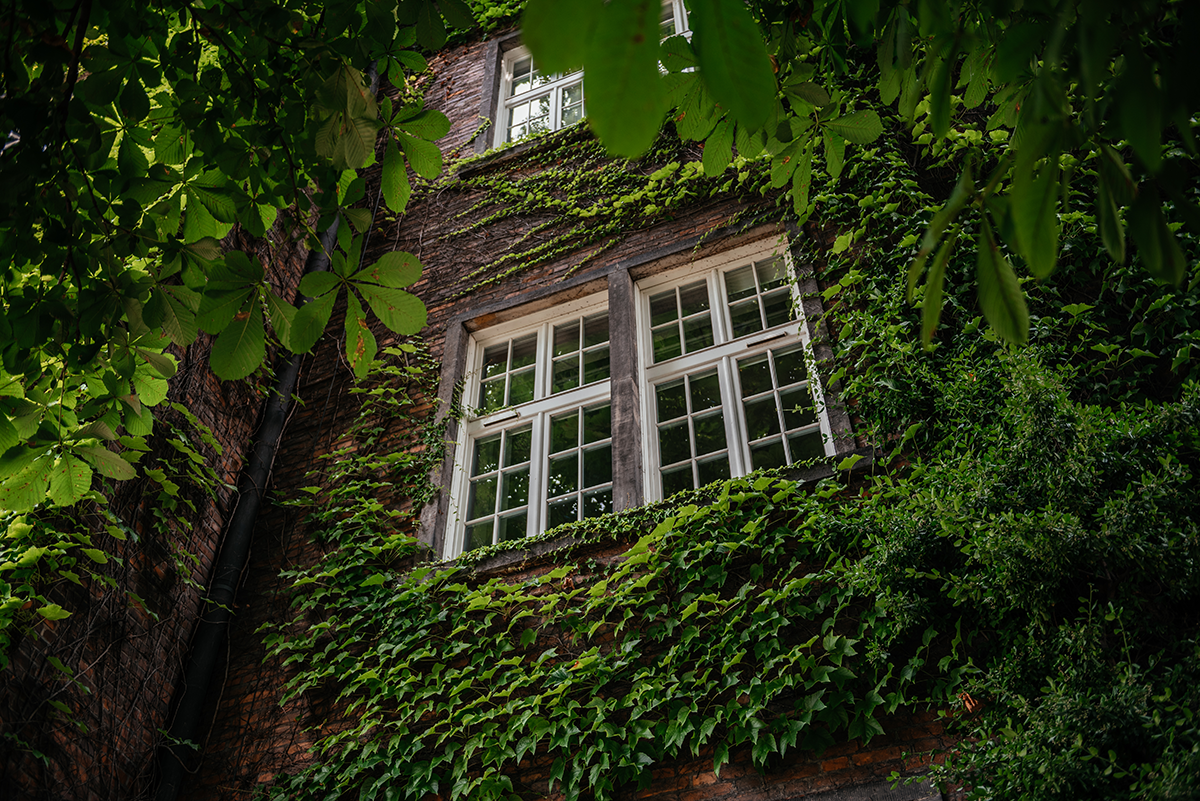 Kraków from Above & After Dark: A Photographer’s Summer Guide photo 2