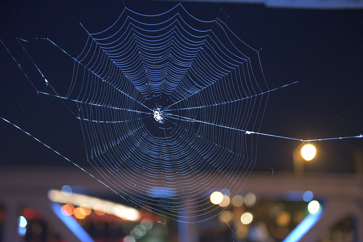 Kraków from Above & After Dark: A Photographer’s Summer Guide photo 3