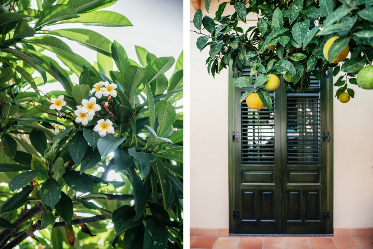 A Taste of Sicily: Golden Light and Quiet Charm in Mondello photo 2