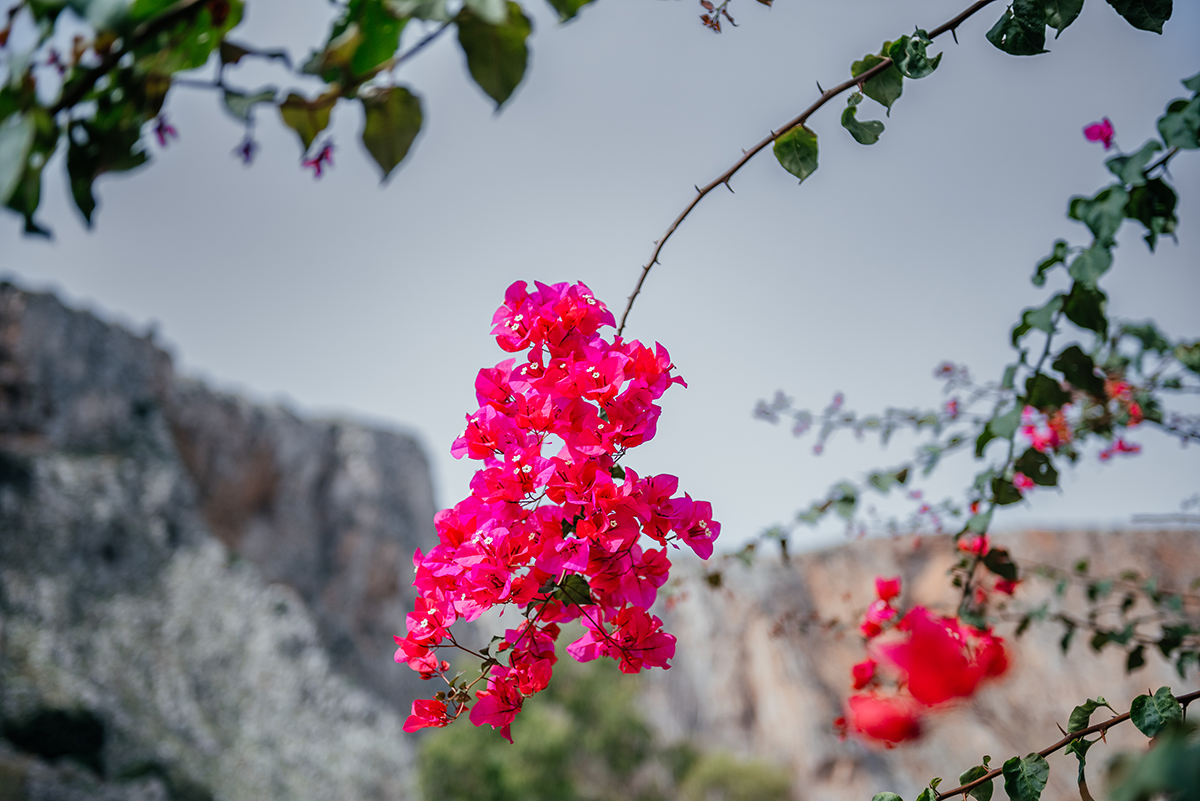A Taste of Sicily: Golden Light and Quiet Charm in Mondello photo 3