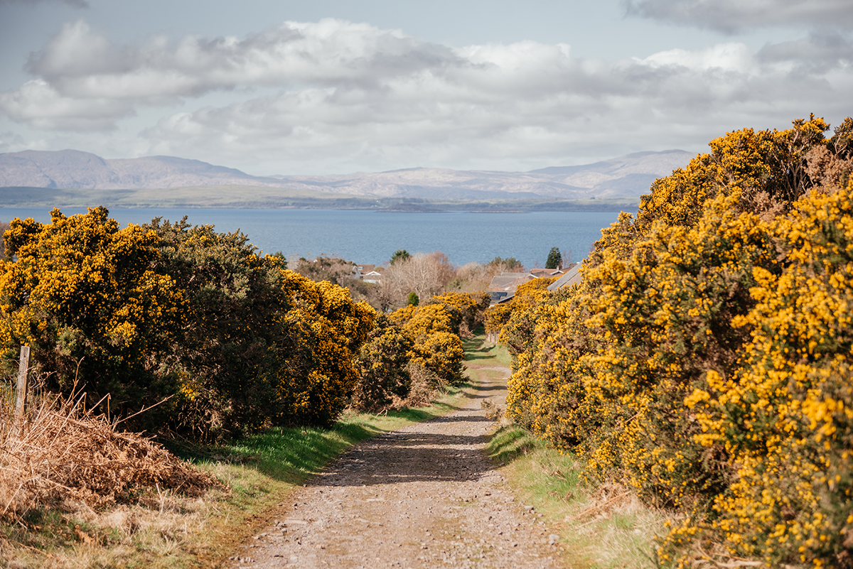 A Day Trip to Oban: Scotland’s Coastal Gem by Rail photo 3
