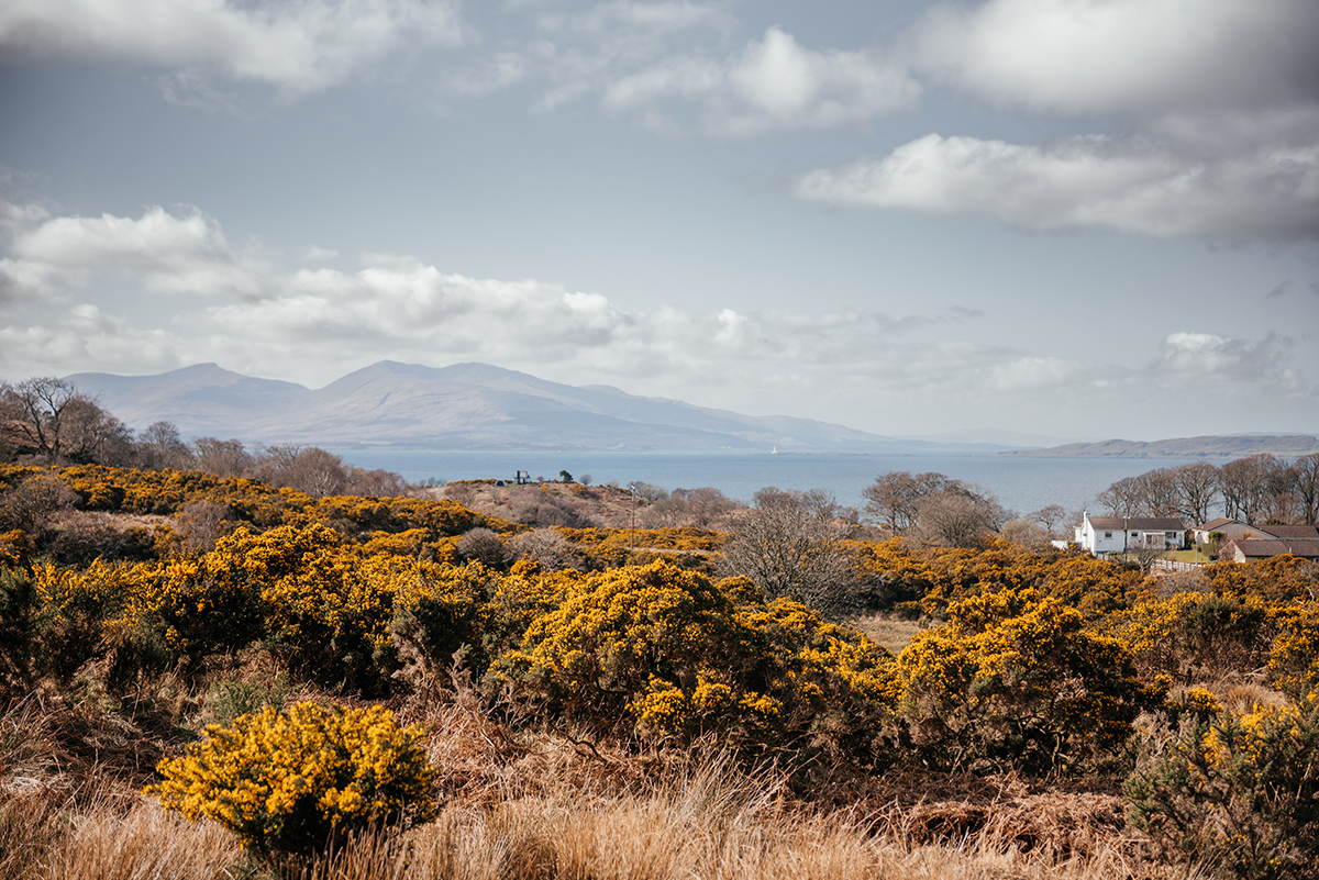 A Day Trip to Oban: Scotland’s Coastal Gem by Rail photo 4