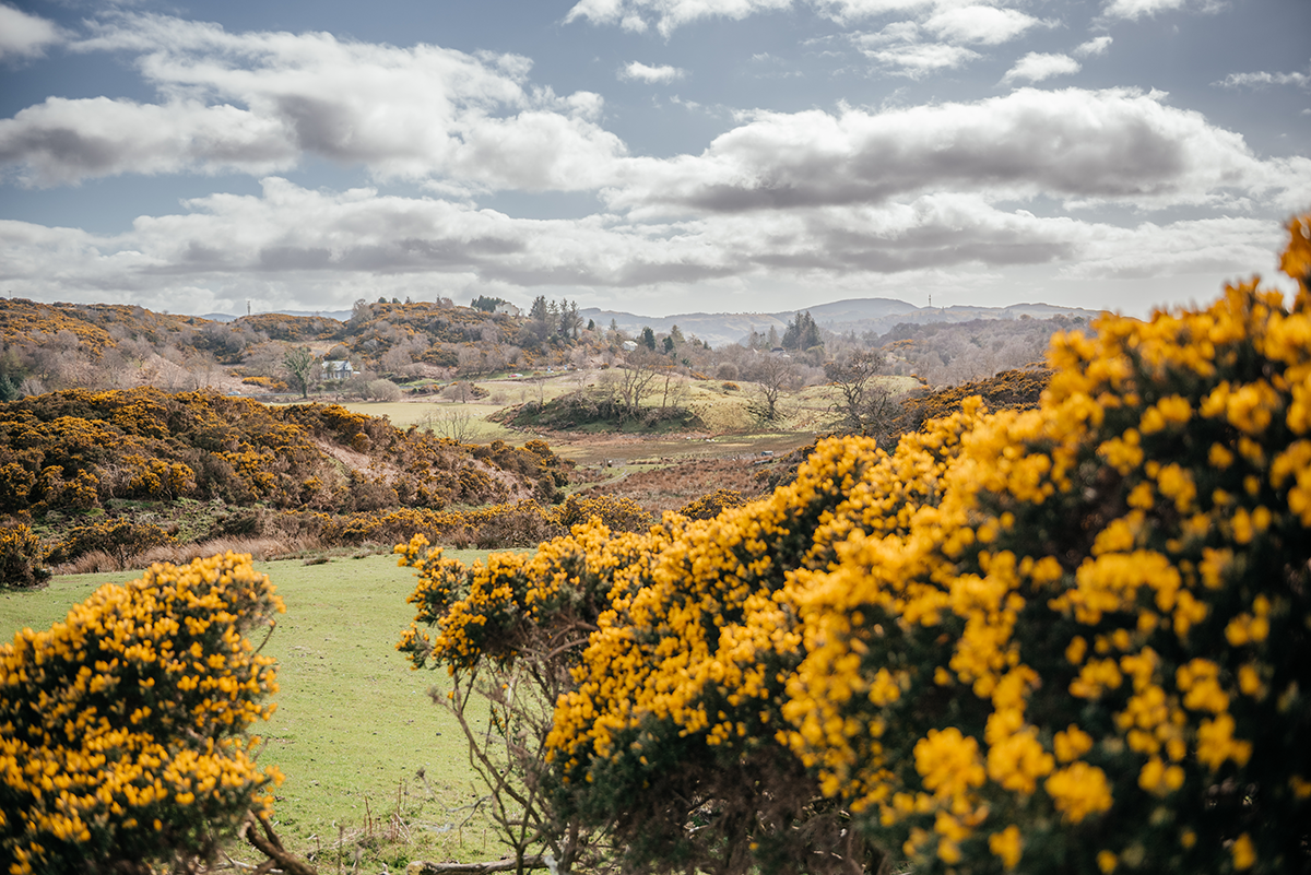 A Day Trip to Oban: Scotland’s Coastal Gem by Rail photo 1