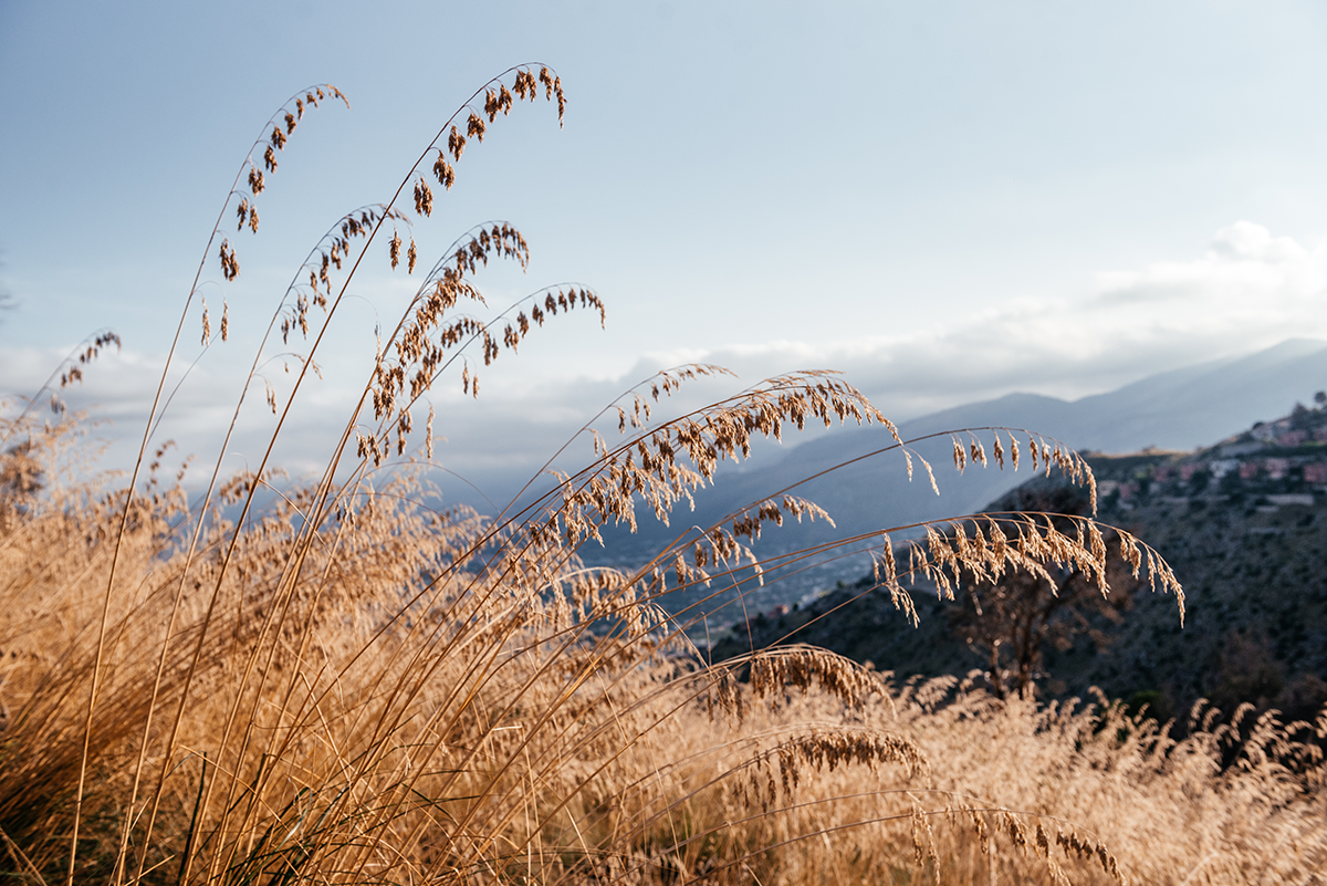 Monte Gallo Secrets: A Half-Day Hike from Mondello to Semaforo Borbonico photo 3