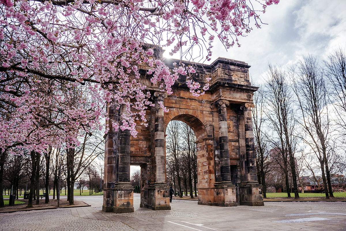 Cherry blossom framing McLennan Arch at Glasgow Green in spring
