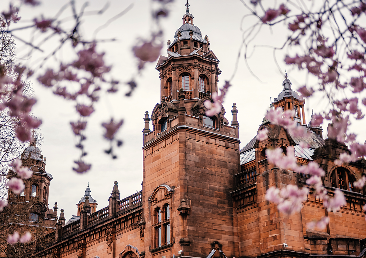 University of Glasgow building framed by cherry blossom in spring